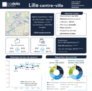 Codata Factsheet Lille centre-ville