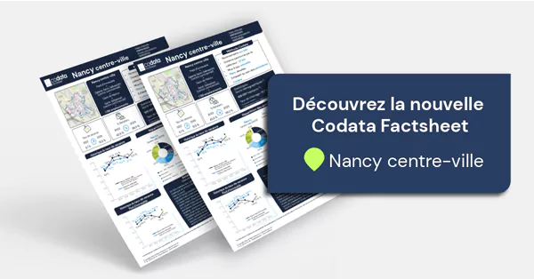 Codata Factsheet Nancy centre-ville 2023