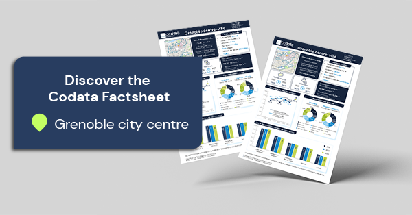 Codata Factsheet Grenoble city centre 2023