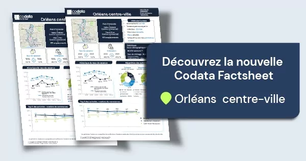 Codata Factsheet Orléans centre-ville 2023